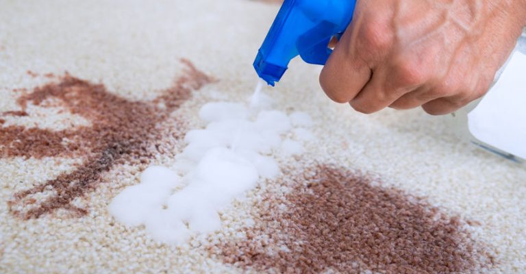 4 Stubborn Carpet Stains and How to Remove Them | Smart Choice